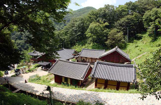 금당에서 내려다 본 장곡사 경내의 일부이다. 골을 이루고 있는 회색 기와가 마음을 차분하게 해준다. 